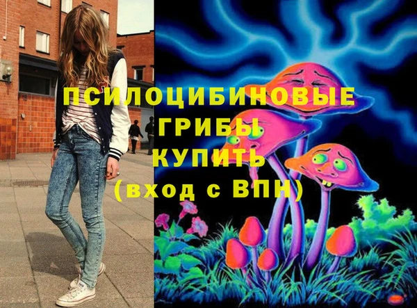 2c-b Пересвет