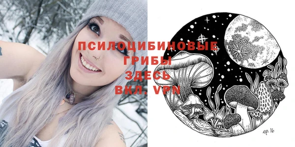 2c-b Пересвет