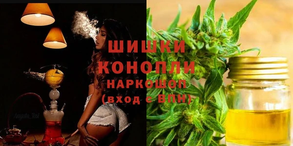 шишки Переславль-Залесский
