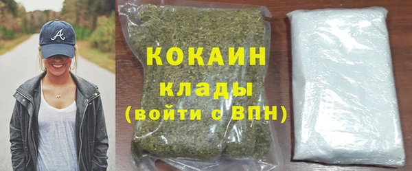шишки Переславль-Залесский