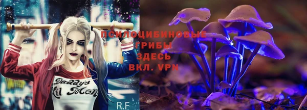 скорость Пестово