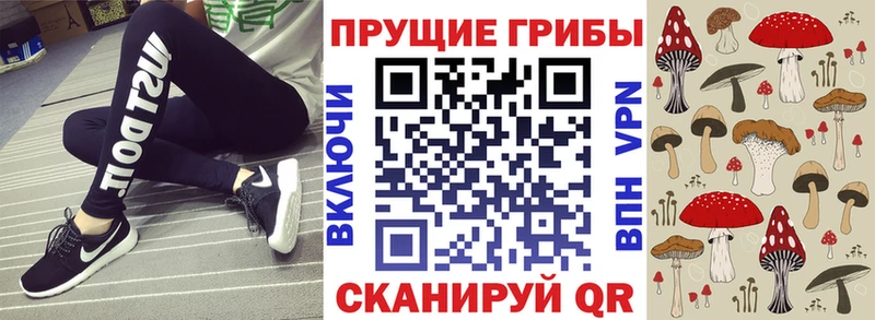 Псилоцибиновые грибы Cubensis  OMG онион  это какой сайт  Кирс 